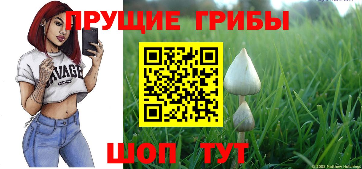 Галлюциногенные грибы мицелий Сердобск
