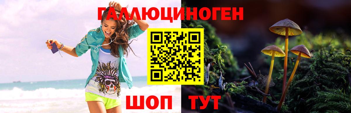 Псилоцибиновые грибы Psilocybe  Вход с VPN  Сердобск  Галлюциногенные грибы мицелий 